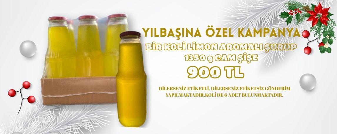 YILBAŞI KAMPANYASI KIZILCIK