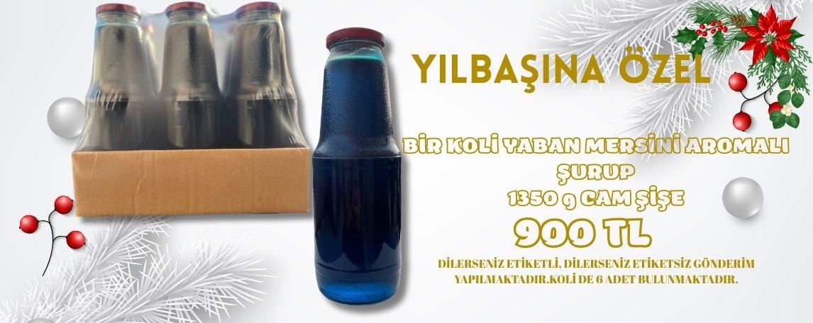 YILBAŞI KAMPANYASI KIZILCIK